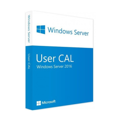 MICROSOFT WINDOWS SERVER...